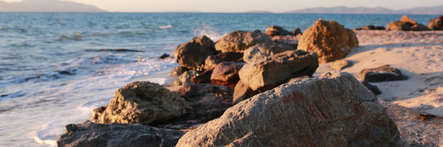 header profile