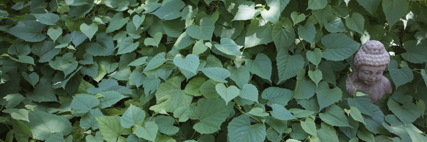 header profile